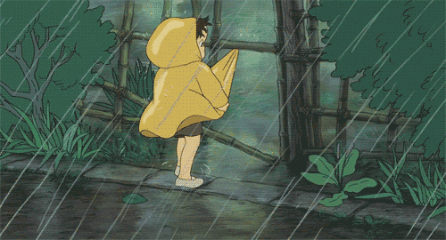 rainy day